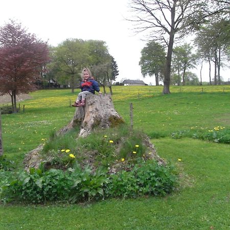 Comfy Holiday Home In Burg Reuland With Sauna Terrace Bbq エクステリア 写真