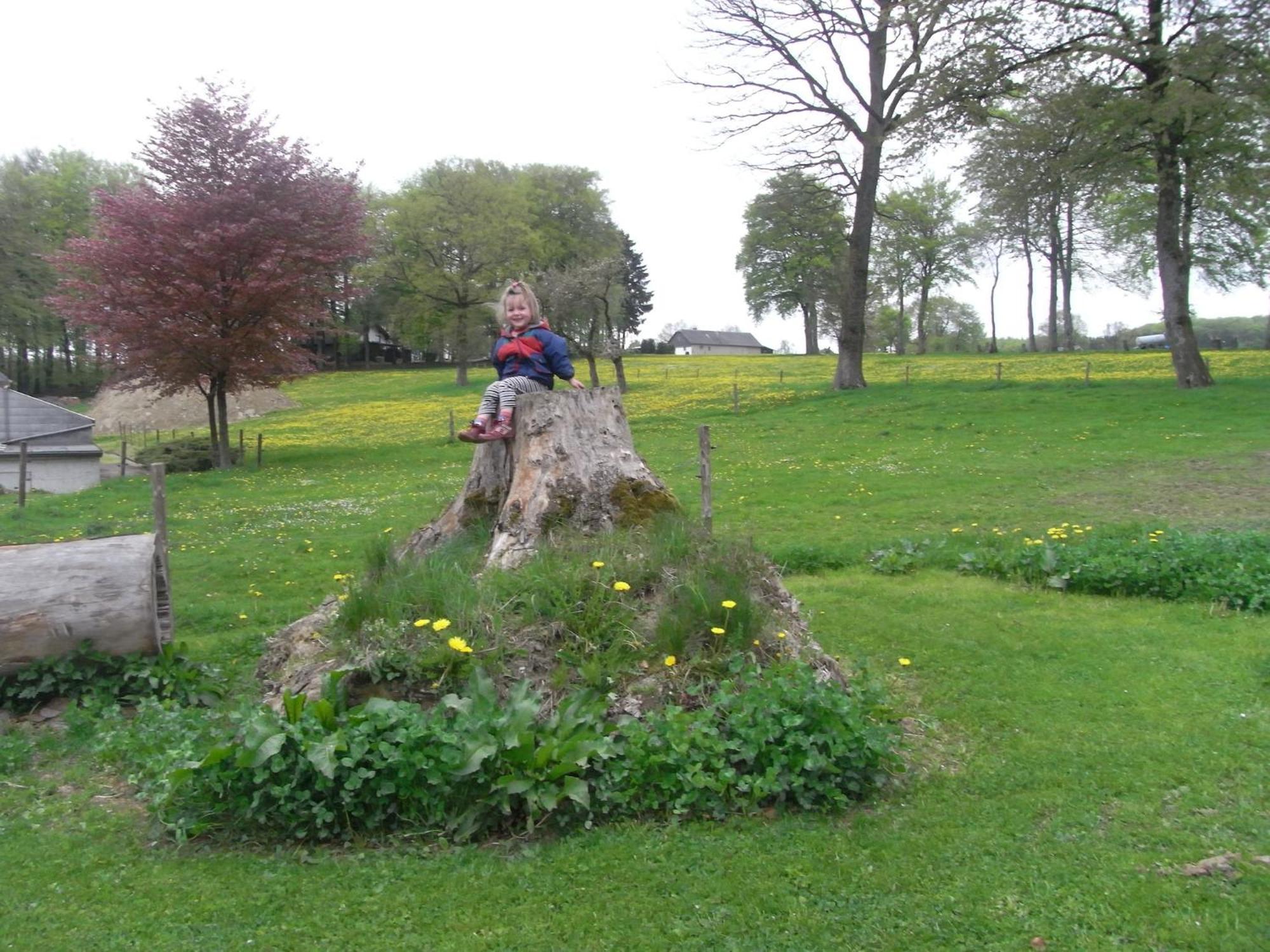 Comfy Holiday Home In Burg Reuland With Sauna Terrace Bbq エクステリア 写真