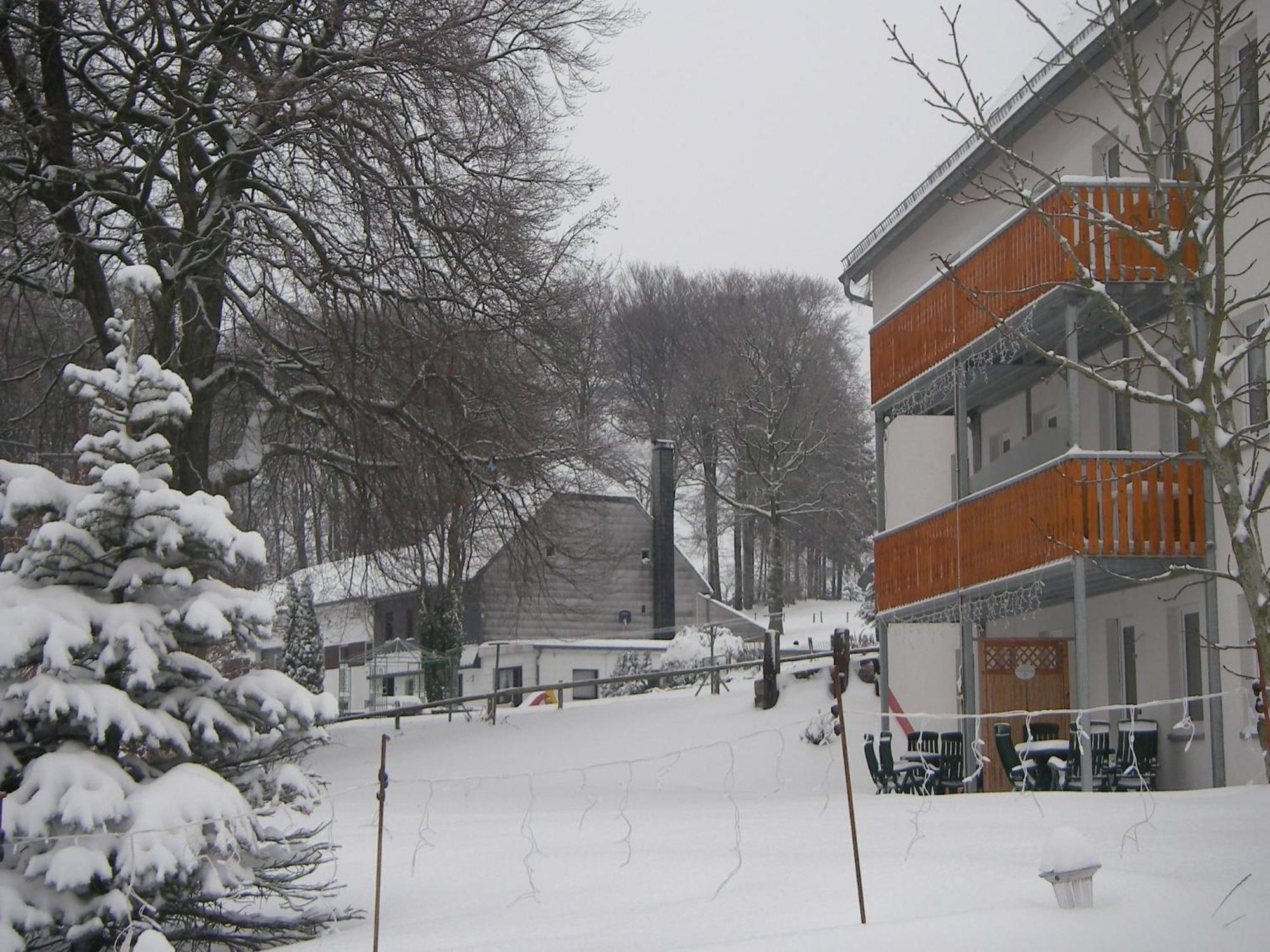 Comfy Holiday Home In Burg Reuland With Sauna Terrace Bbq エクステリア 写真