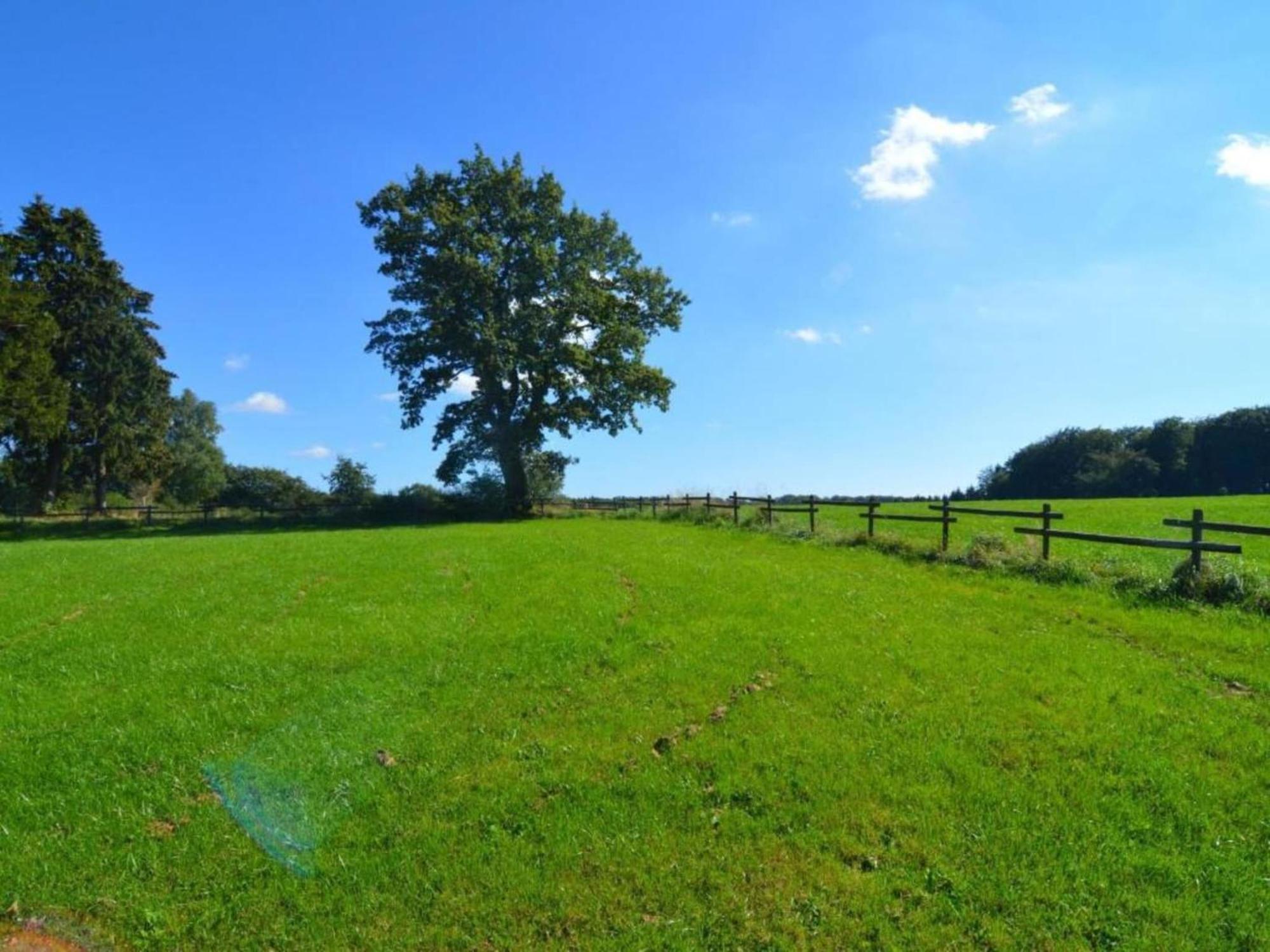 Comfy Holiday Home In Burg Reuland With Sauna Terrace Bbq エクステリア 写真