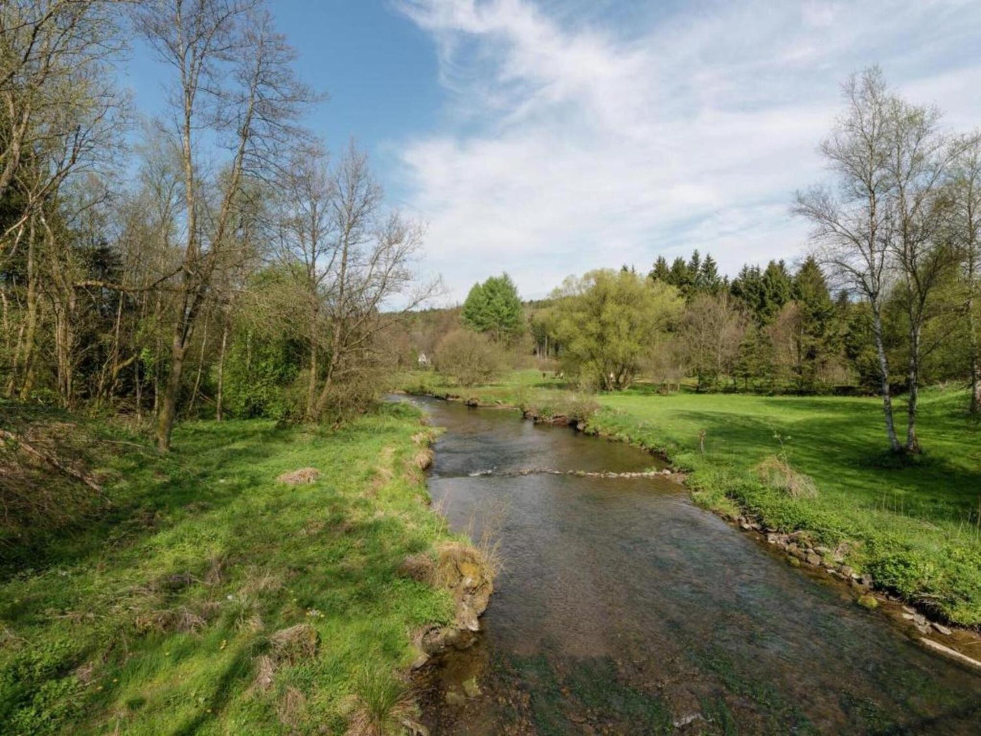 Comfy Holiday Home In Burg Reuland With Sauna Terrace Bbq エクステリア 写真